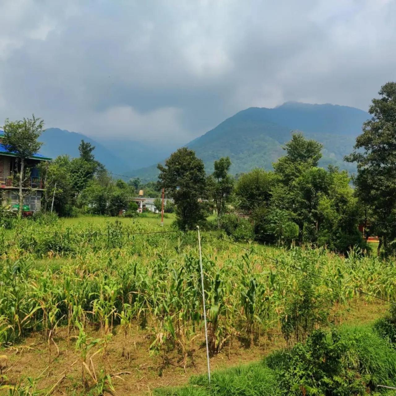 Aditya Homestay Bir-Billing Surrounded By Mountains Екстер'єр фото